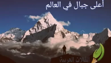 أعلى جبال في العالم