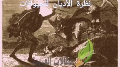 نظرة الأديان للحيوانات