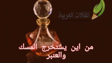 من اين يستخرج المسك والعنبر