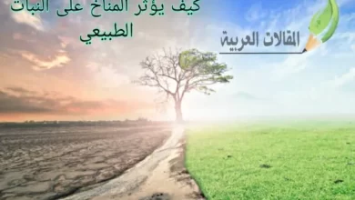 كيف يؤثر المناخ على النبات الطبيعي