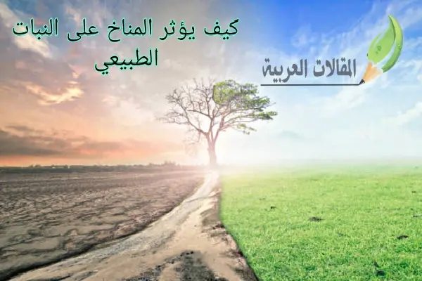 كيف يؤثر المناخ على النبات الطبيعي