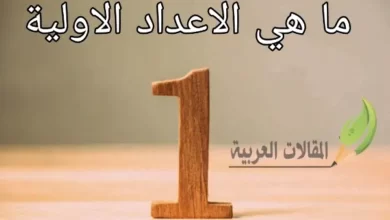 ما هي الاعداد الاولية