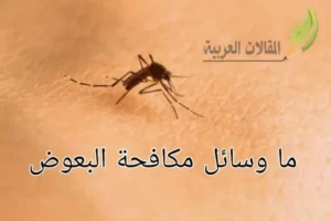 ما وسائل مكافحة البعوض