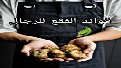 فوائد الفقع للرجال