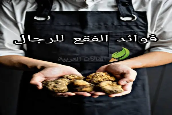 فوائد الفقع للرجال