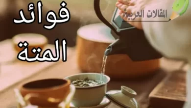 فوائد المتة