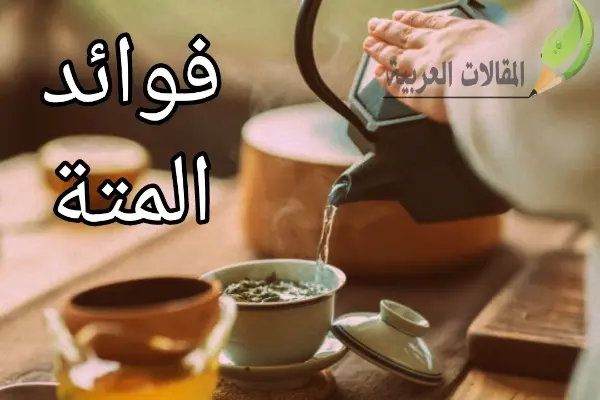 فوائد المتة