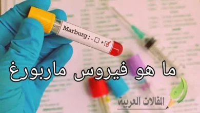 ما هو فيروس ماربورغ