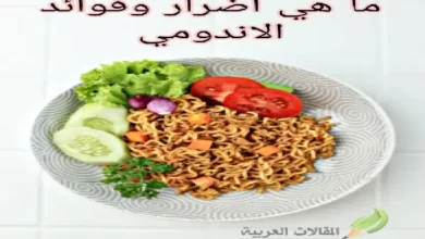 ما هي اضرار وفوائد الاندومي