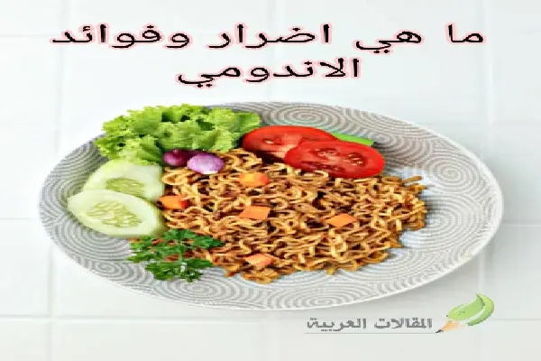 ما هي اضرار وفوائد الاندومي