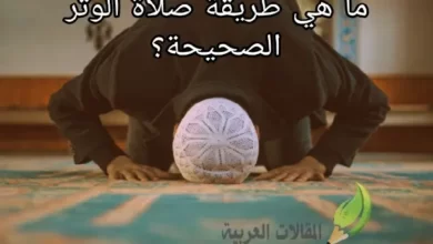 ما هي طريقة صلاة الوتر الصحيحة؟