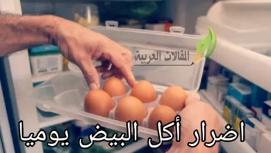 اضرار أكل البيض يوميا