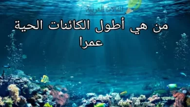 هي أطول الكائنات الحية عمرا