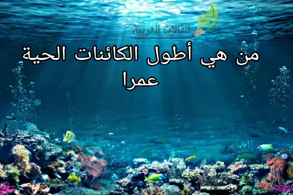 هي أطول الكائنات الحية عمرا