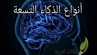 أنواع الذكاء التسعة