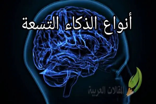 أنواع الذكاء التسعة