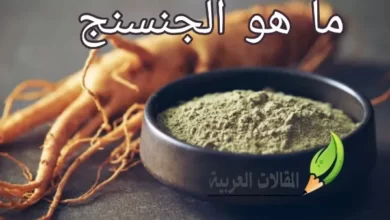 ما هو الجنسنج