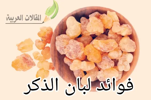 فوائد لبان الذكر