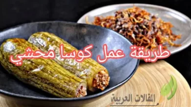 طريقة عمل كوسا محشي