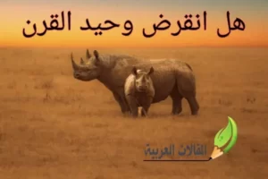 هل انقرض وحيد القرن