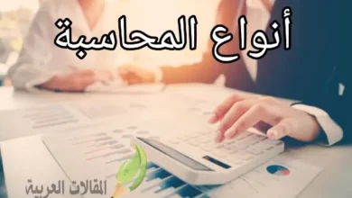 أنواع المحاسبة