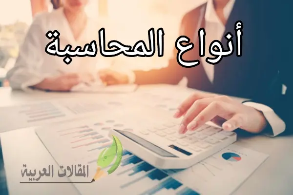 أنواع المحاسبة