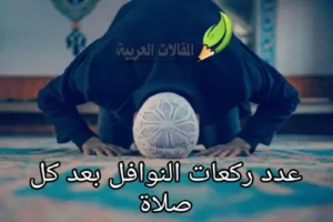 عدد ركعات النوافل بعد كل صلاة