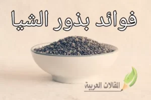 فوائد بذور الشيا