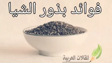 فوائد بذور الشيا