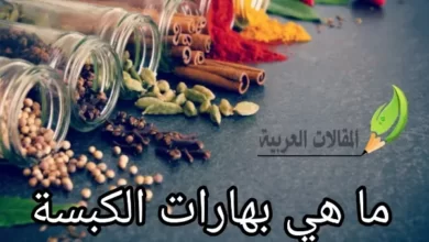 ما هي بهارات الكبسة