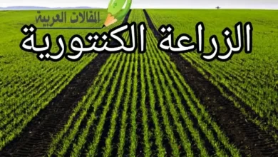 الزراعة الكنتورية