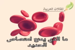 ما الذي يمنع امتصاص الحديد