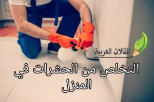 التخلص من الحشرات في المنزل