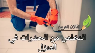 التخلص من الحشرات في المنزل