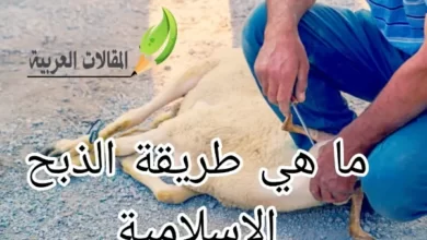 ما هي طريقة الذبح الاسلامية