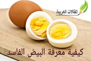 كيفية معرفة البيض الفاسد