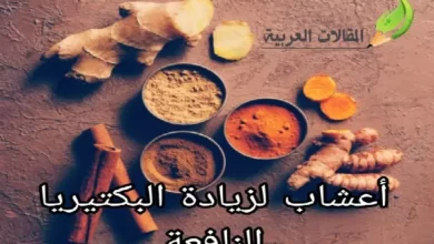 أعشاب لزيادة البكتيريا النافعة