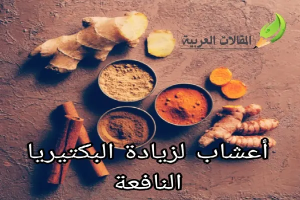 أعشاب لزيادة البكتيريا النافعة