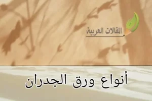 أنواع ورق الجدران