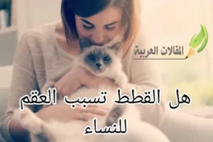 هل القطط تسبب العقم للنساء