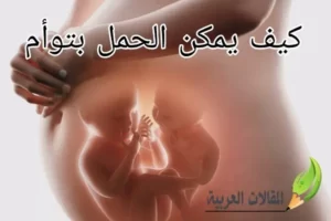 كيف يمكن الحمل بتوأم