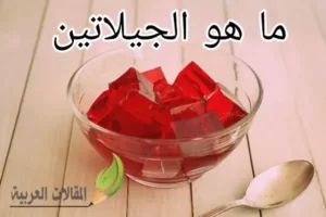 ما هو الجيلاتين