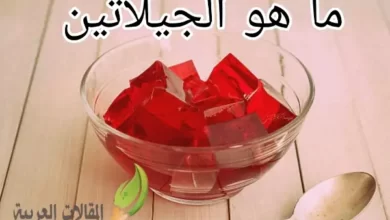 ما هو الجيلاتين