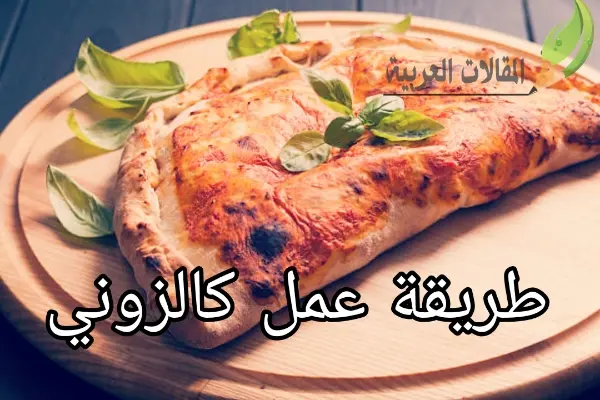 طريقة عمل كالزوني