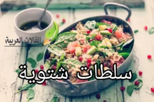 سلطات شتوية