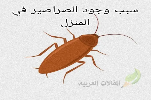 سبب وجود الصراصير في المنزل